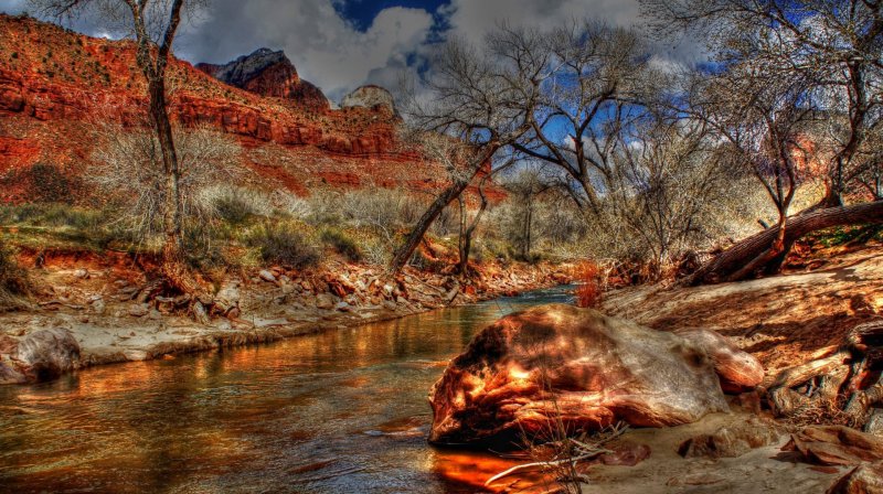 Estados Unidos Nevada parque natureza paisagem arvore árvore rio rocha