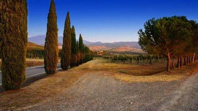 Tuscan roads