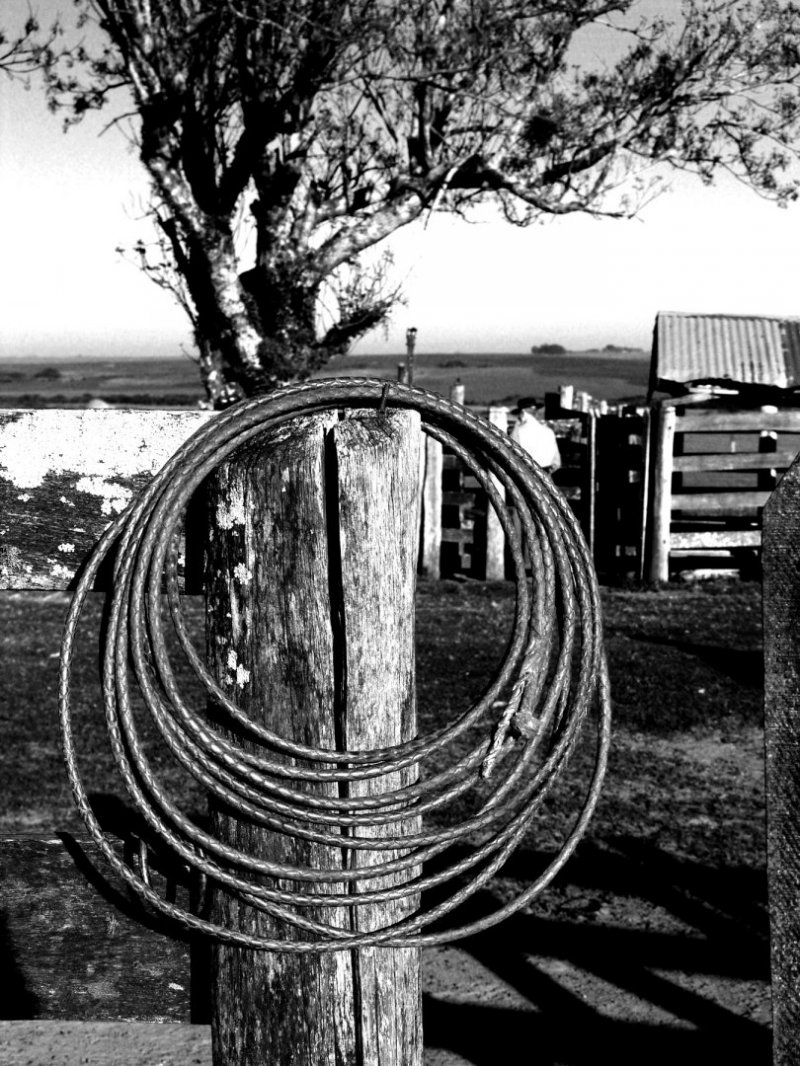 cena rural fazenda campo laço rustico agro negócio rio grande do sul