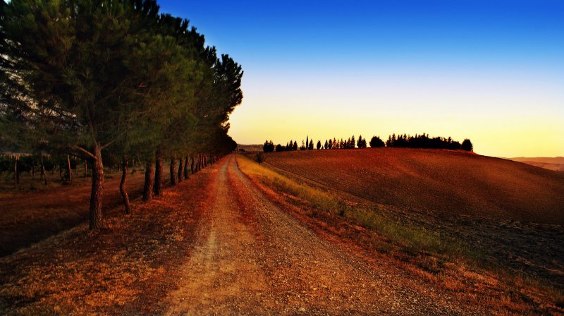 Árvore Cipreste Natureza Campo Interior Paz Céu Estrada Terra Chão Paisagem