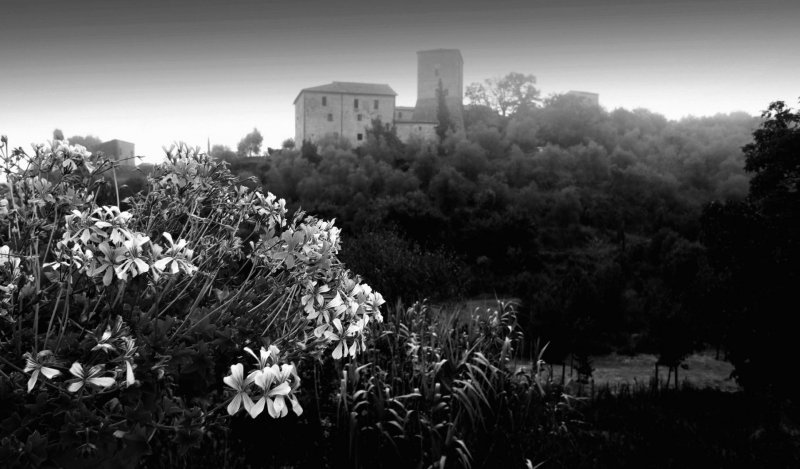 Istigliano Itália Castelo Natureza Mato Floresta Flor Rosa Flores Árvores Morro Montanha Hotel