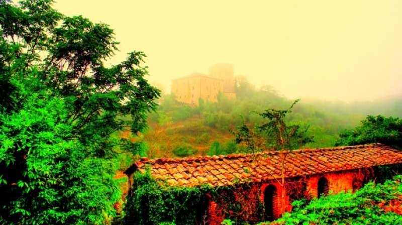 Árvore Árvores Planta Plantas Castelo Pedra Tijolo Telhado Mata Floresta Campo Interior Neblina Toscana Italia 