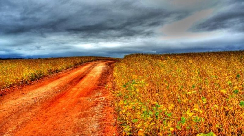 Estrada Rua Chão Terra Barro Soja Plantação Céu Nuvem Além Caminho Destino Pedra Areia lavoua caminho estrada agronegócio