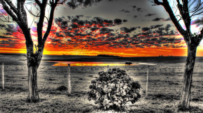 Campo Lago Lagoa Árvore Árvores Planta Grana Interior Por do Sol Céu Nuvens Açude agronegócio