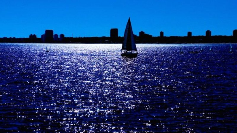 Mar Vela Velejar Barco Prédios Cidade Lago Lagoa Natureza Água Vento Esporte Atividade Dia Céu Velejada