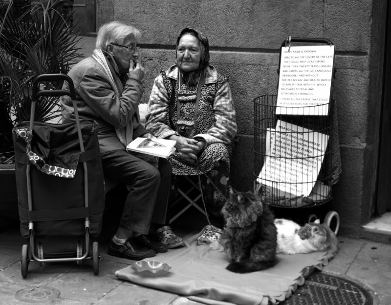 mulher mulheres italiana italianas idosa velha sentadas conversando estilo de vida nona gato animal comadre comadres amigas 