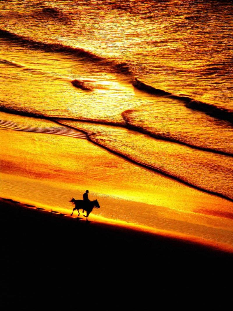 mar praia beira mar paisagem natureza cavalo cavalgando cavalgada por do sol por-do-sol entardecer