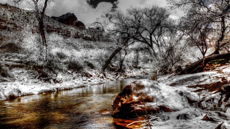 Estados Unidos Nevada parque natureza paisagem arvore árvore rio rocha