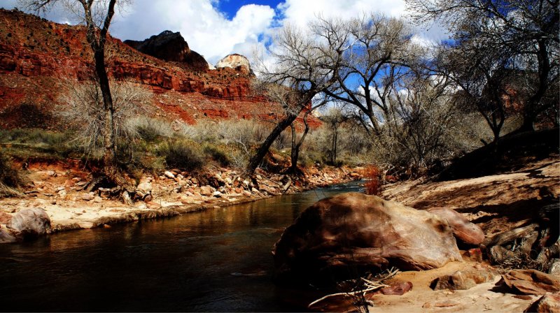 Estados Unidos Nevada parque natureza paisagem arvore árvore rio rocha riacho