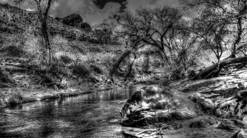 Estados Unidos Nevada parque natureza paisagem arvore árvore rio rocha